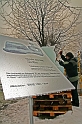 IMG_6465 (Resize)